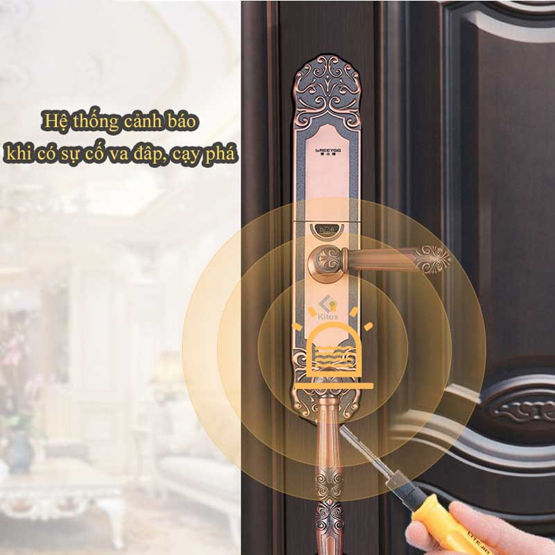 Khóa Kitos C500 chống cạy phá, cảnh báo pin yếu