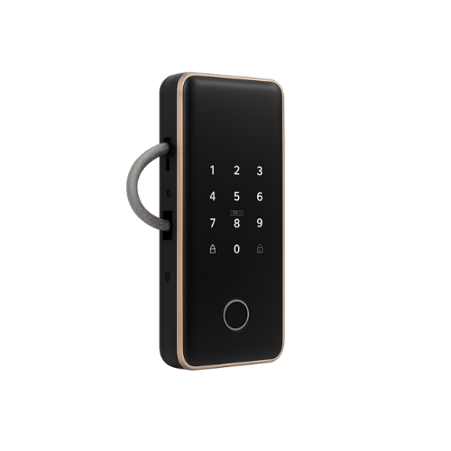 Khóa Vân Tay Cửa Kính DR-063