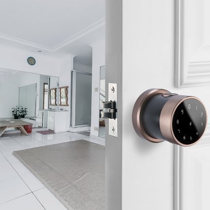 Khóa vân tay nắm tròn DR-058