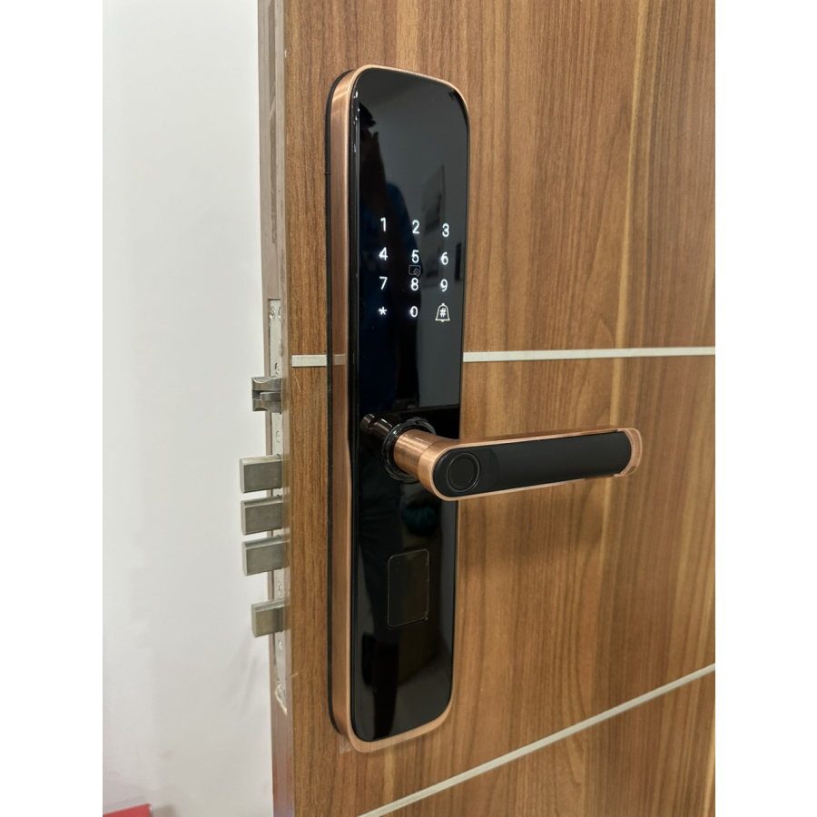 Khóa Thông Minh Cửa Gỗ DR-051 - Image 2