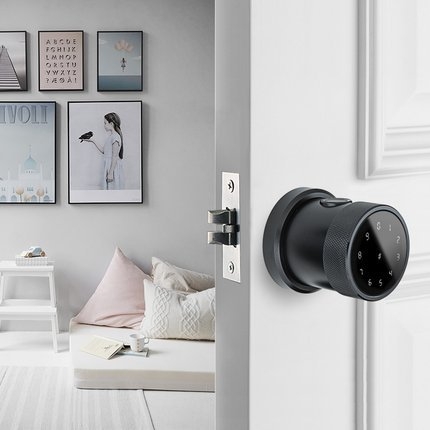 Khóa Vân Tay Nắm Tròn DR-058 - Image 4