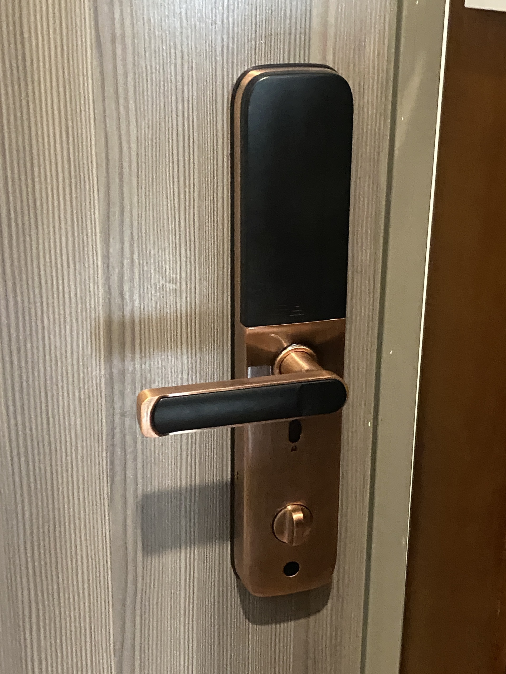 Khóa vân tay DR051 lắp cửa gỗ