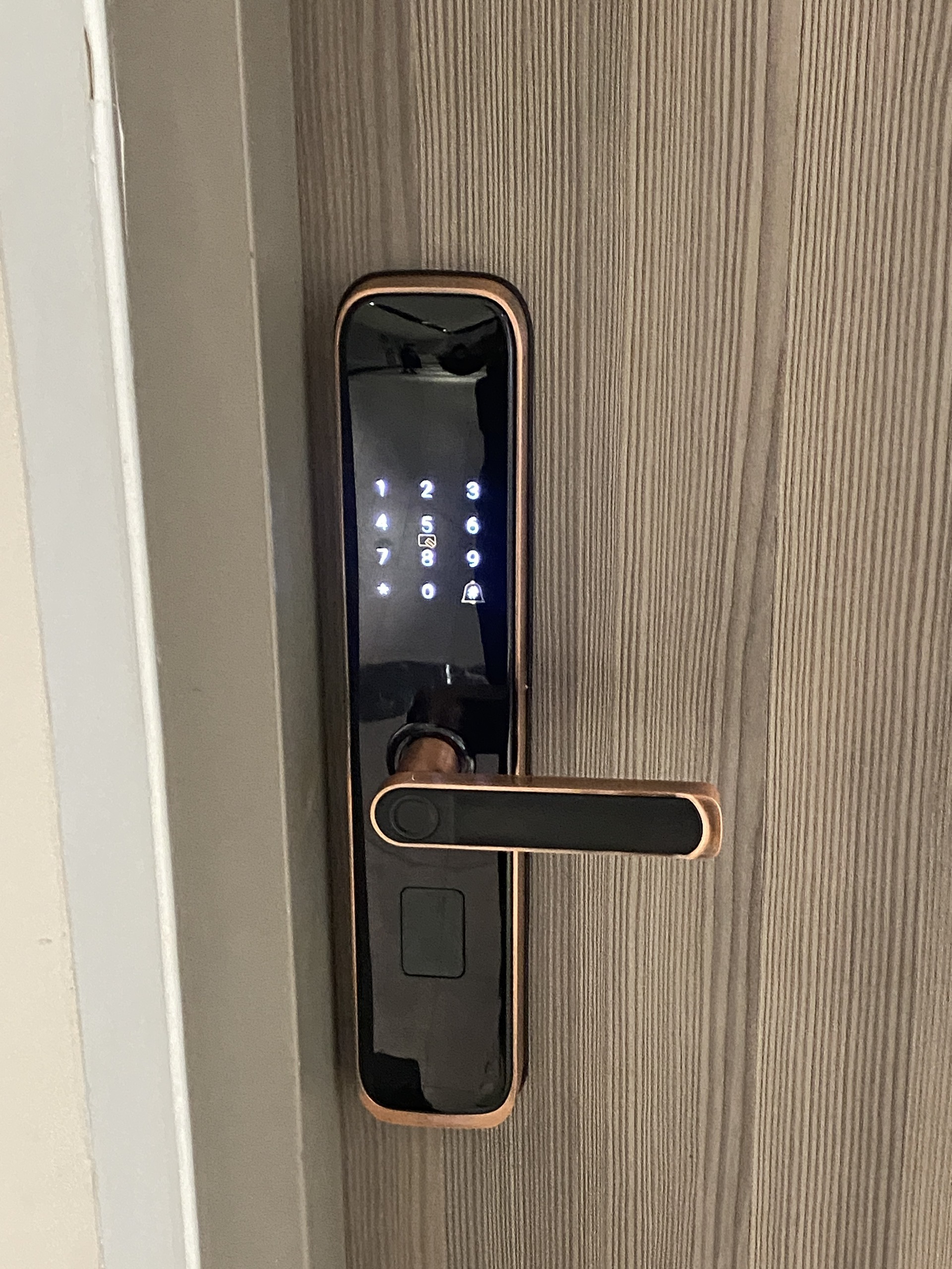 Khóa vân tay cửa gỗ DR051