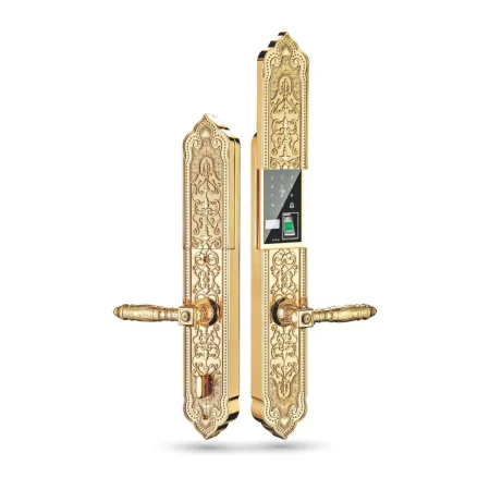 Khóa Cửa Vân Tay Đại Sảnh KASSLER - KL929