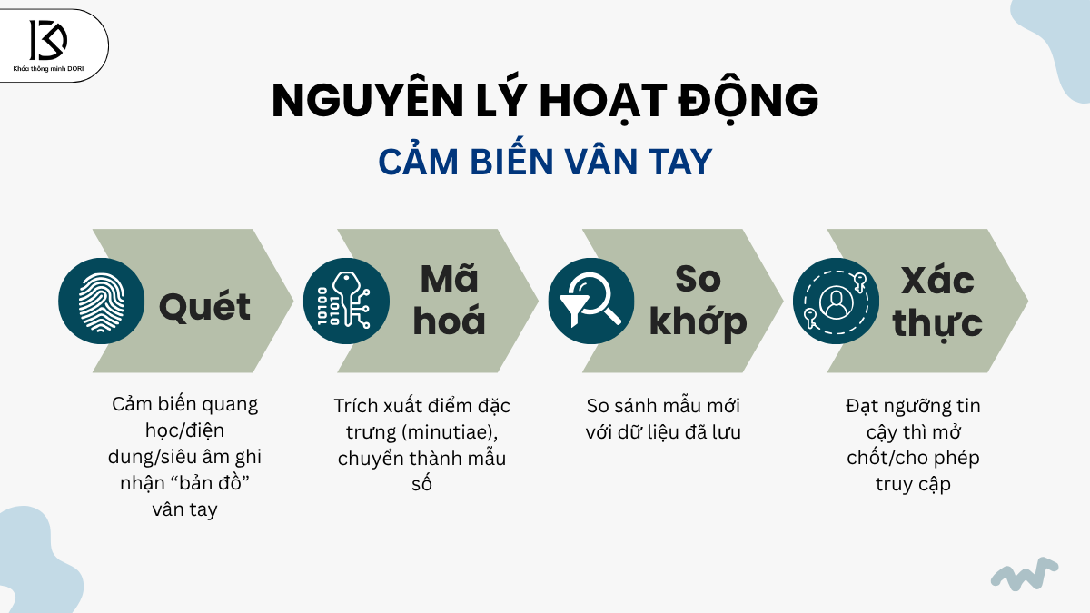 Nguyên Lý Hoạt Động: 4 Bước Cốt Lõi