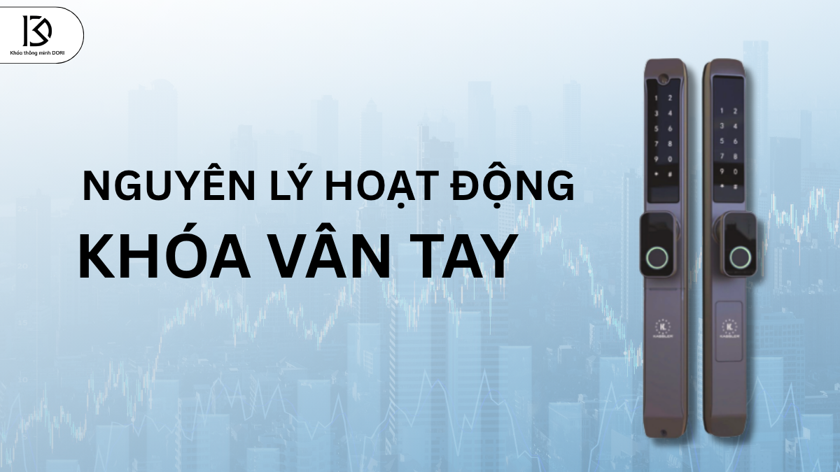 Nguyên Lý Hoạt Động Của Khóa Vân Tay